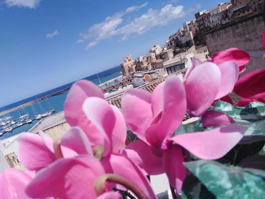 A 2 Passi Dal Castello ,Appartamento Con Veranda Castellammare del Golfo Exteriér fotografie